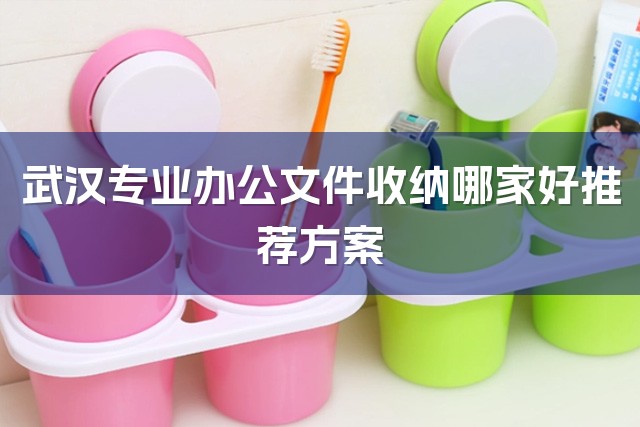 武汉专业办公文件收纳哪家好推荐方案-1