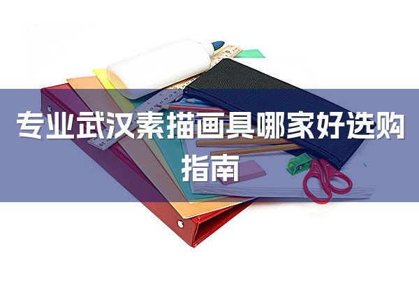 专业武汉素描画具哪家好选购指南-1