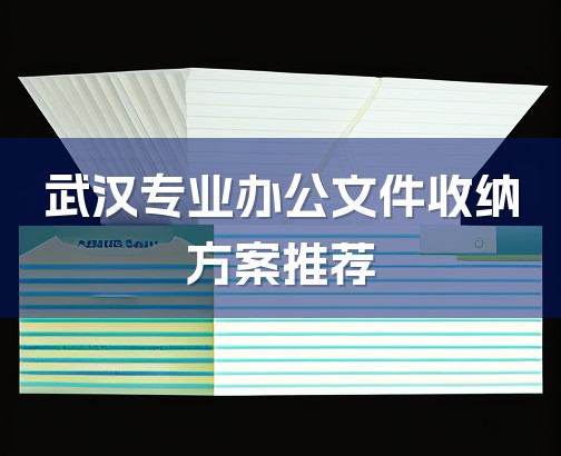 武汉专业办公文件收纳方案推荐-1