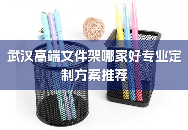 武汉高端文件架哪家好专业定制方案推荐-1
