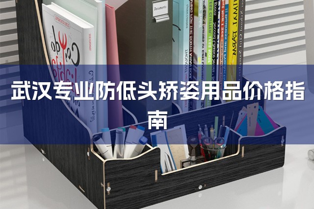 武汉专业防低头矫姿用品价格指南-1